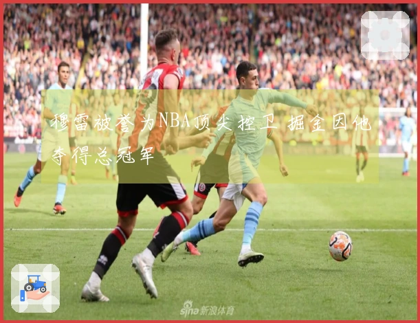 穆雷被誉为NBA顶尖控卫 掘金因他夺得总冠军